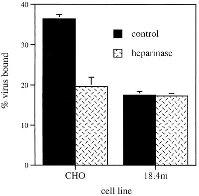 FIG. 6