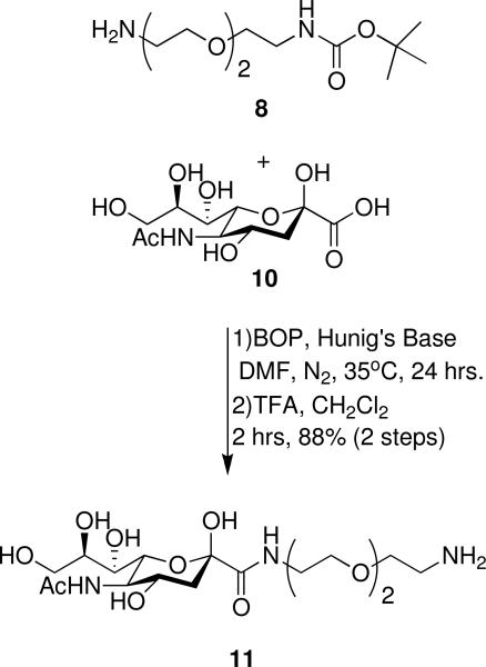 Scheme 2