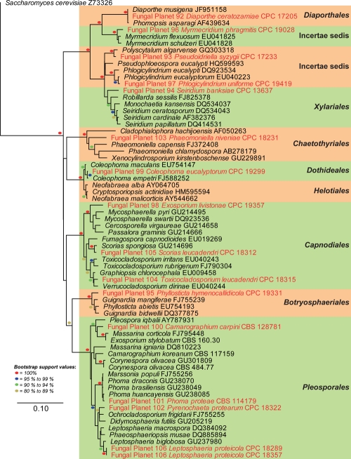 graphic file with name per-27-130-g001.jpg