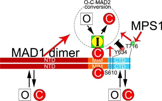 Figure 7.