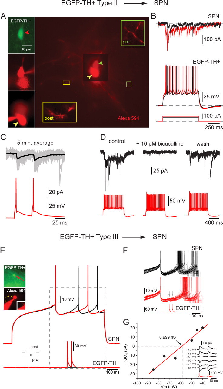 Figure 11.