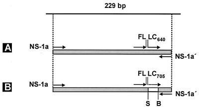 FIG. 1