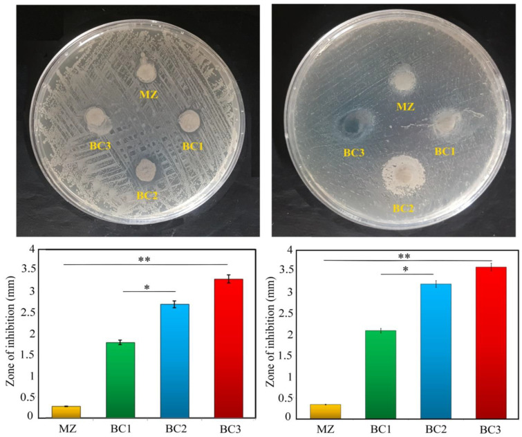 Figure 12