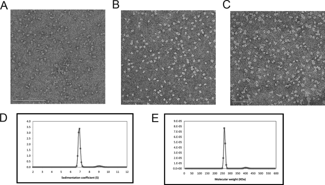 Fig. 6.