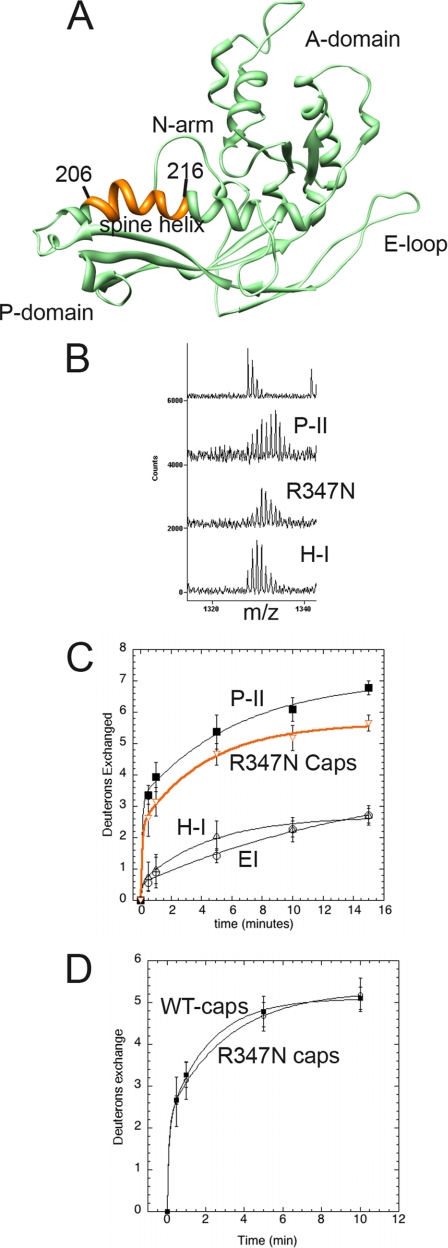 Fig. 8.