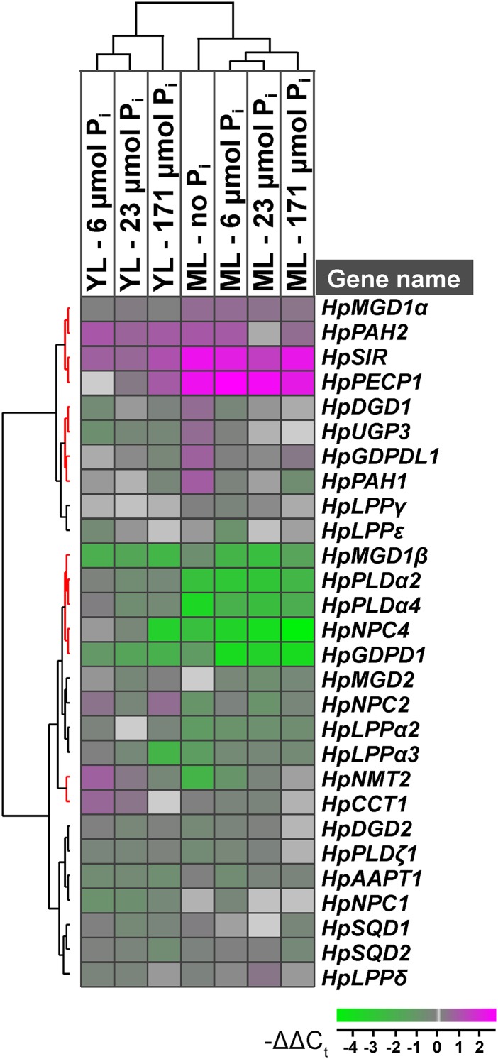 Figure 4.