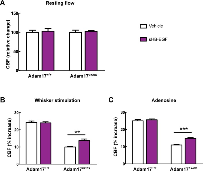 Figure 4—figure supplement 2.