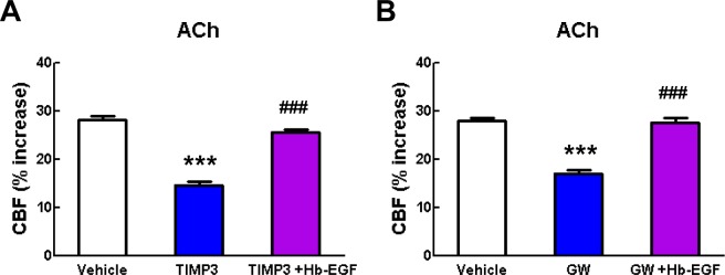 Figure 4—figure supplement 1.