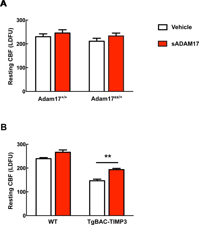 Figure 2—figure supplement 2.