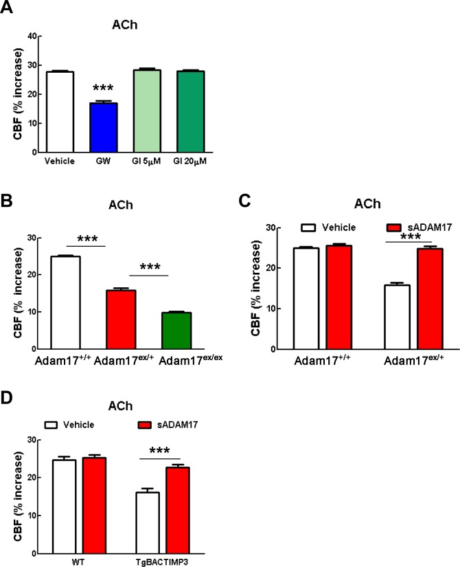 Figure 2—figure supplement 1.