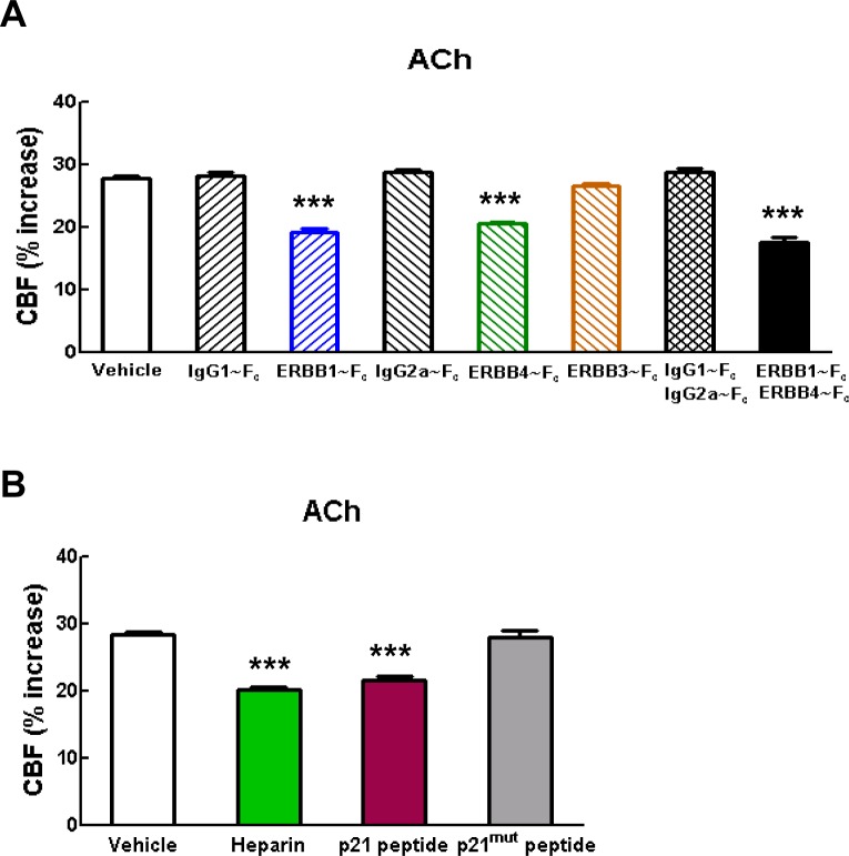 Figure 3—figure supplement 1.