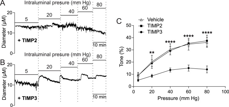 Figure 5—figure supplement 1.