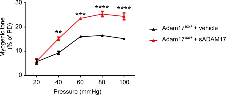 Figure 5—figure supplement 2.