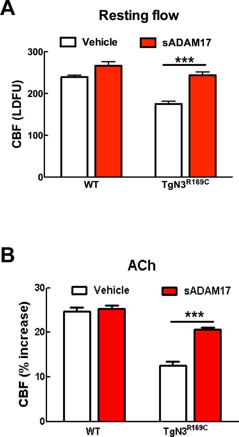 Figure 6—figure supplement 1.