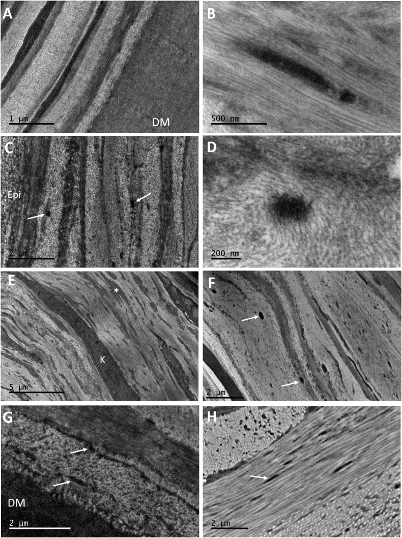 Fig. 6