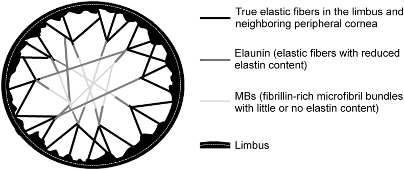 Fig. 7