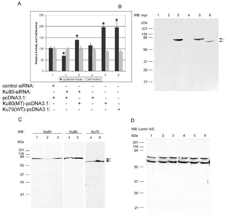 FIG. 8