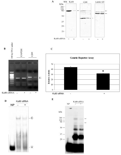 FIG. 7