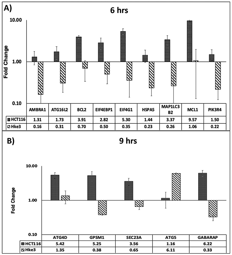 Figure 4A and 4B.