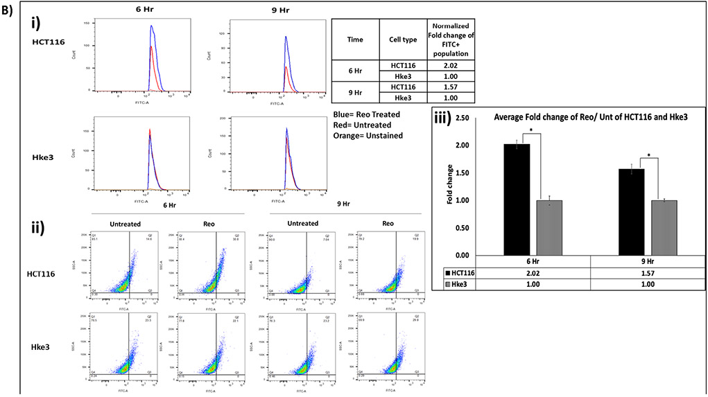 Figure 2B.