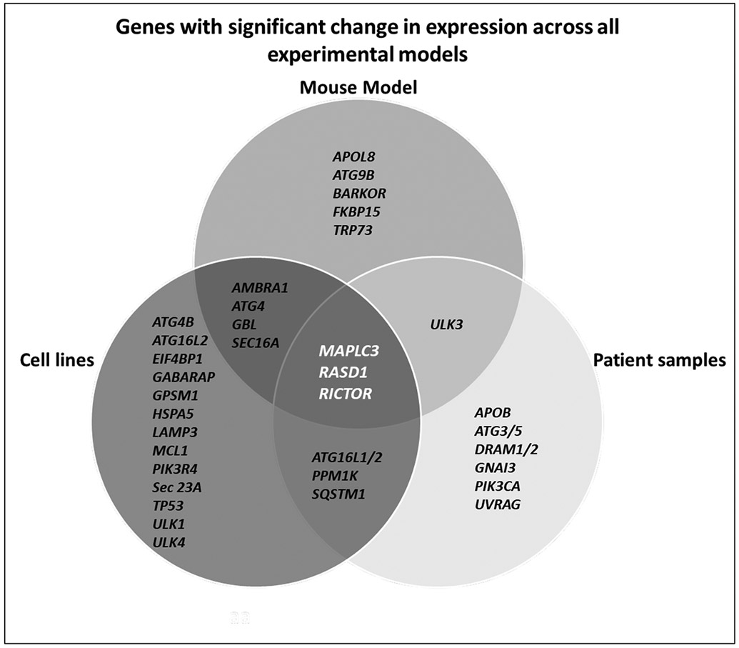 Figure 7: