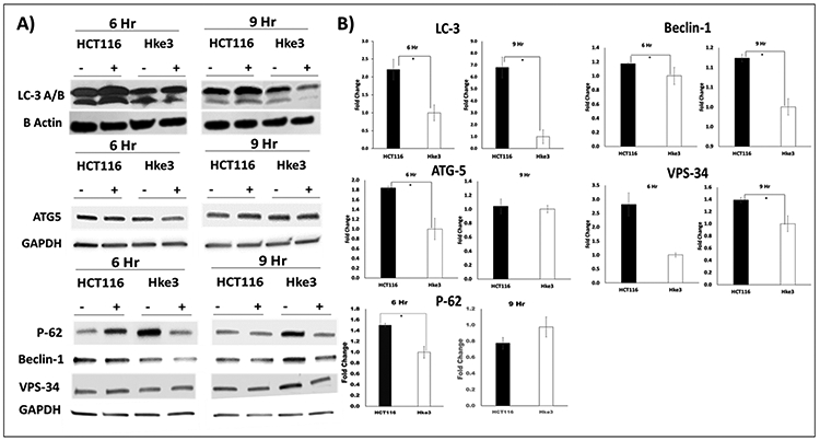 Figure 3A and 3B: