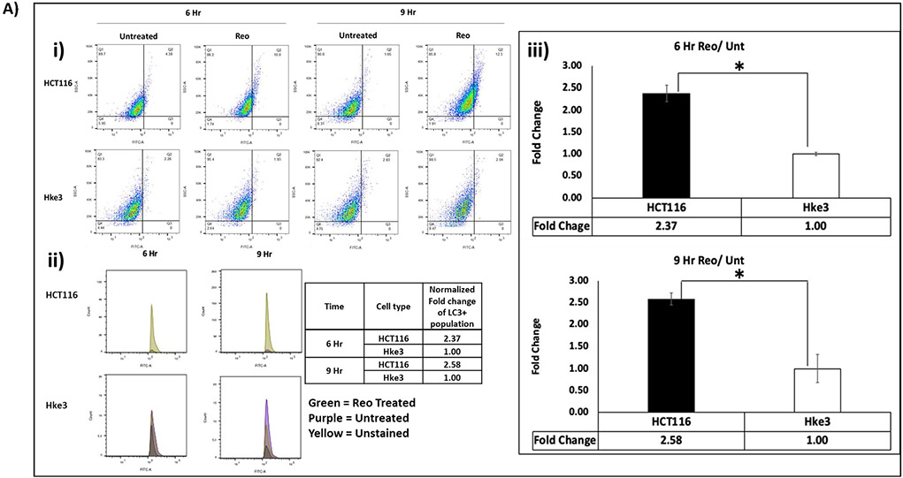 Figure 2A: