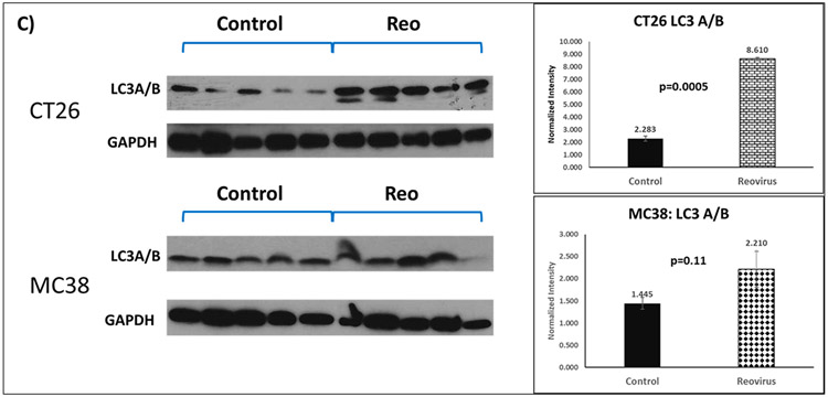 Figure 3C: