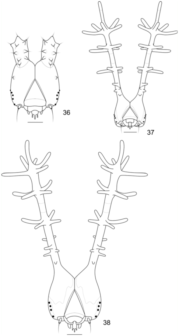 Figures 36–38. 