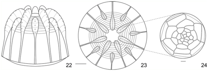 Figures 22–24. 