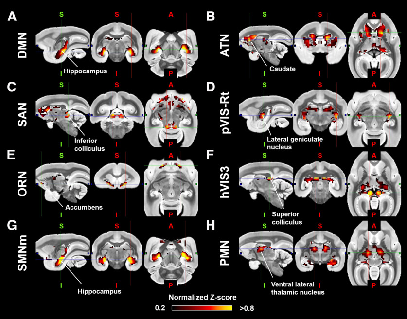 Figure 5.