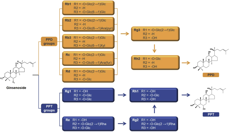 Fig. 2