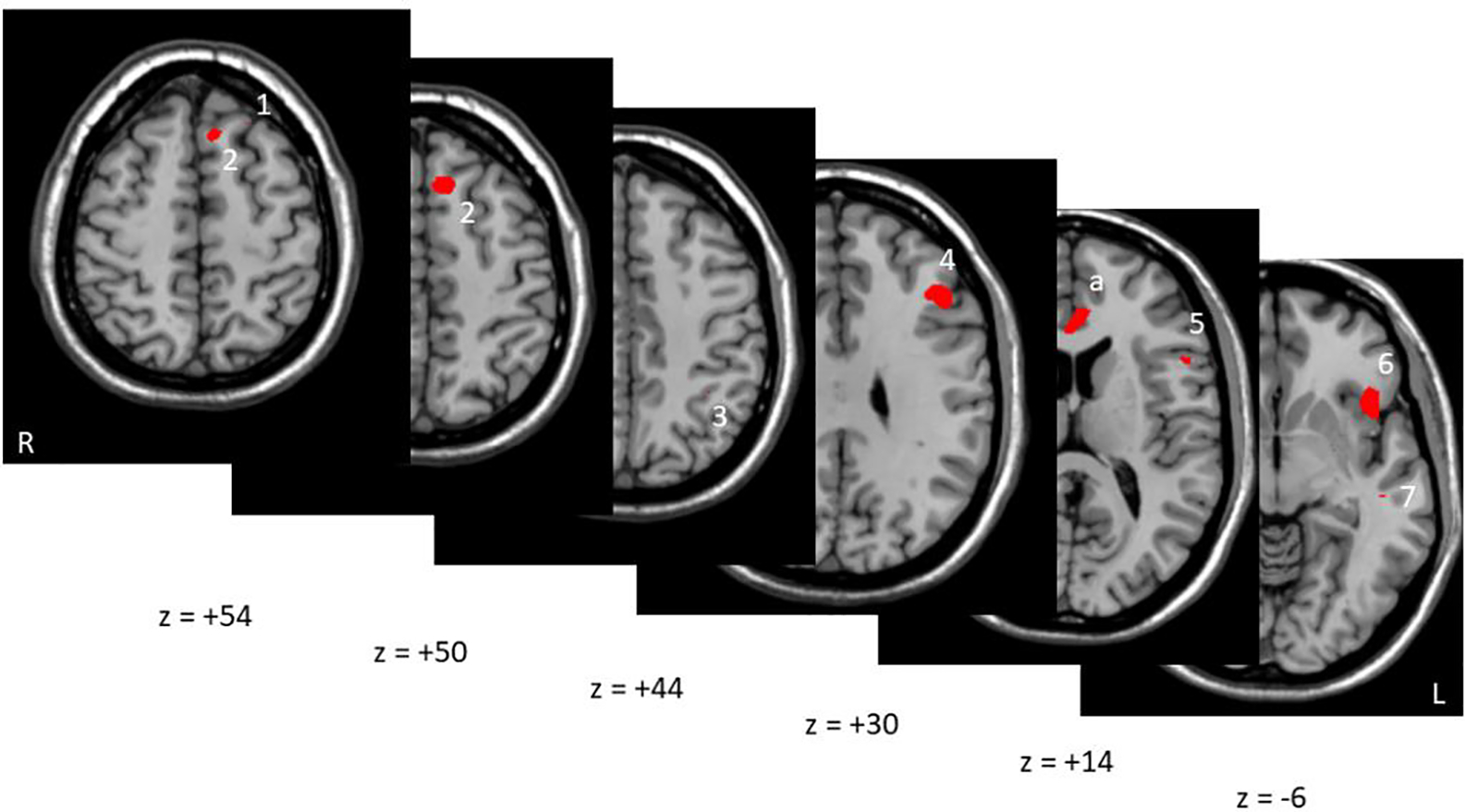 Figure 2: