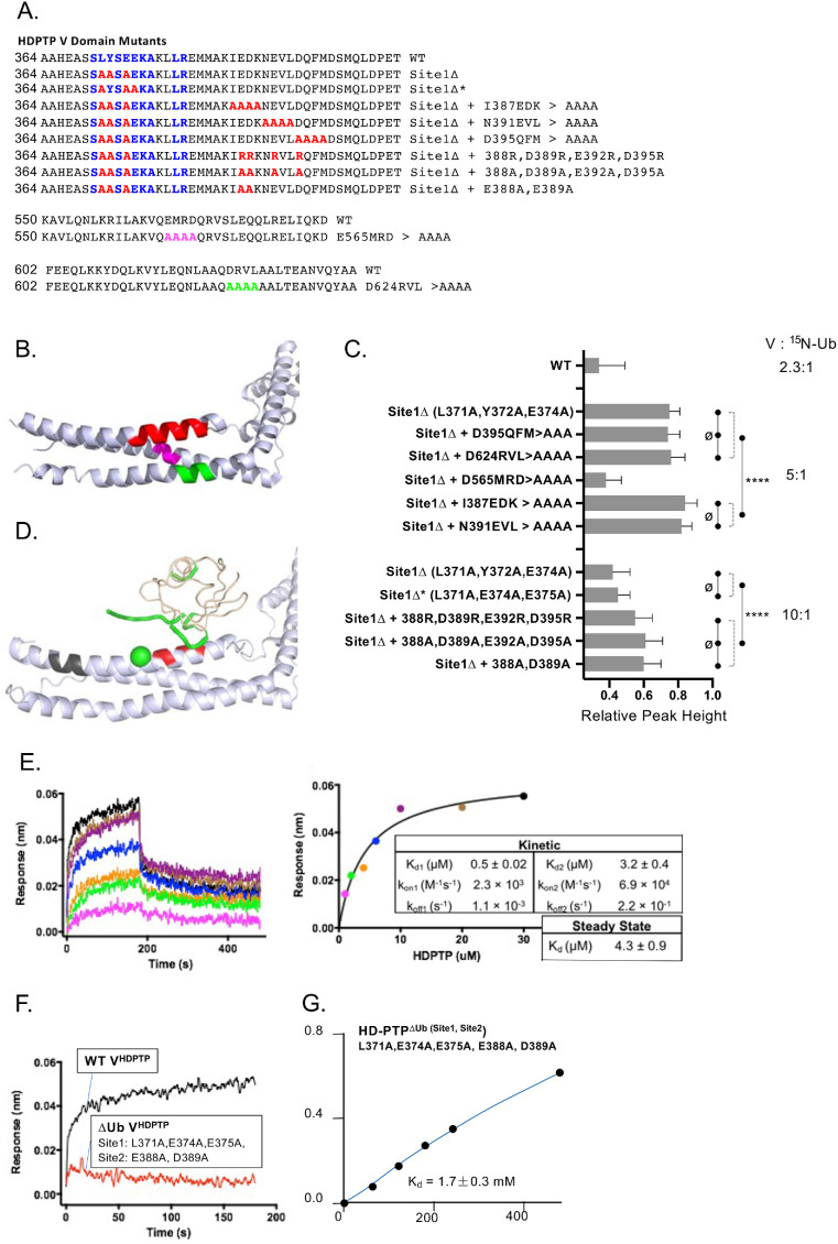 FIGURE 5: