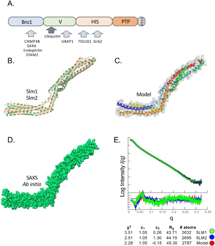 FIGURE 1: