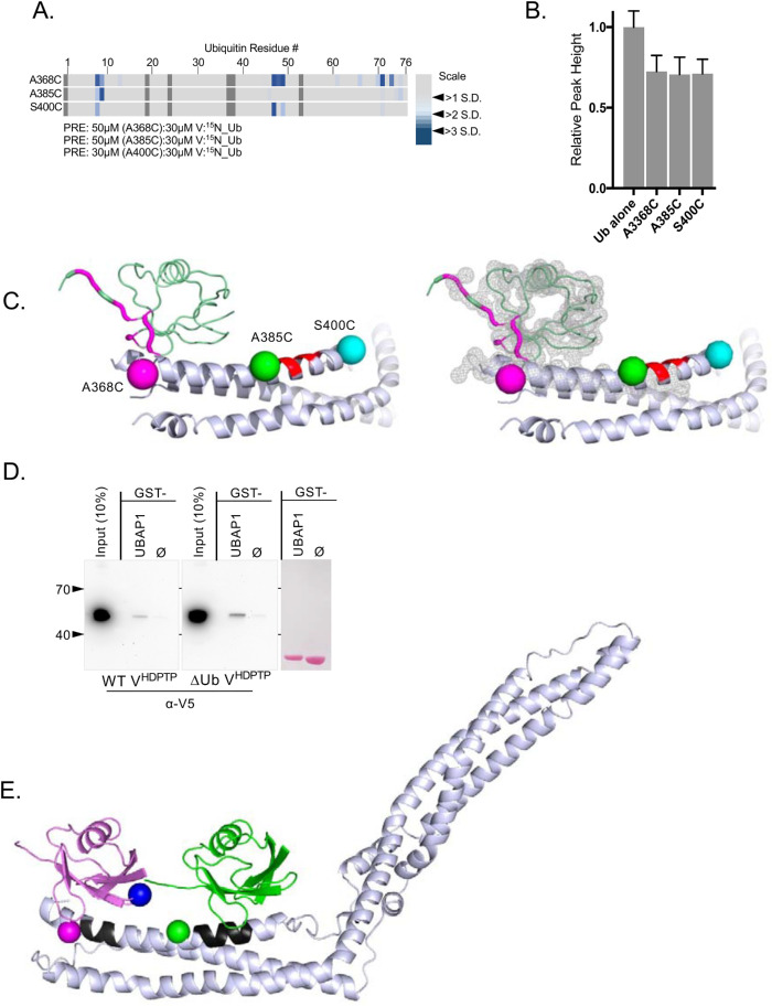 FIGURE 6: