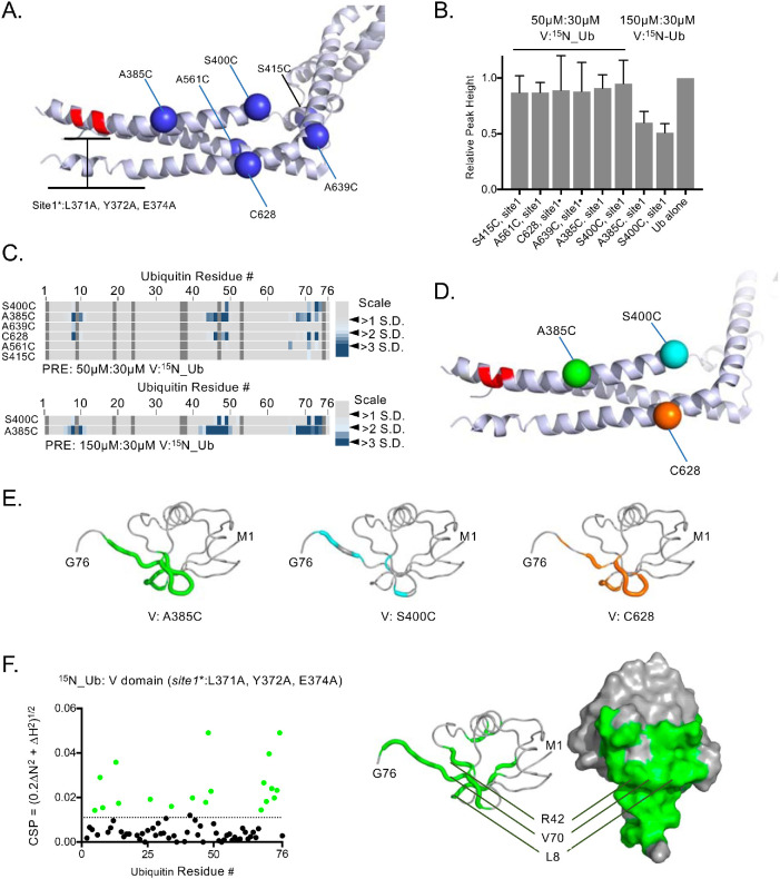 FIGURE 4: