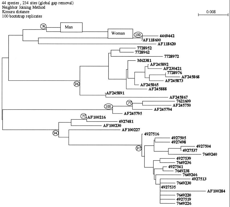 FIG. 1