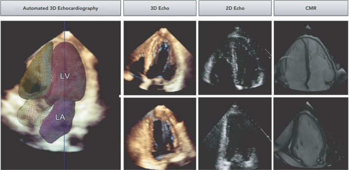 Figure 2: