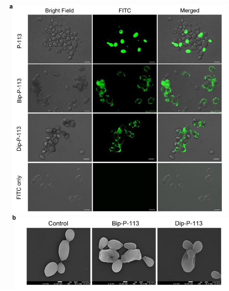 Figure 10