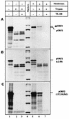 FIG. 5