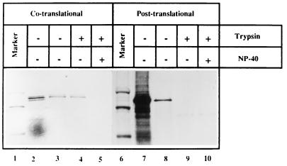 FIG. 6