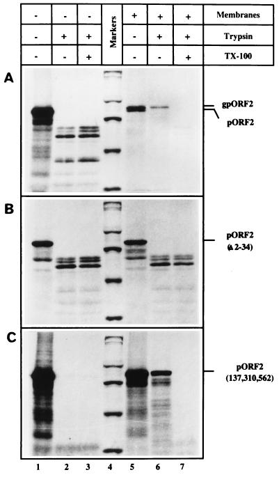 FIG. 5