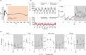 Assessment of daily arrhythmicity of Bmal1-KO mice.