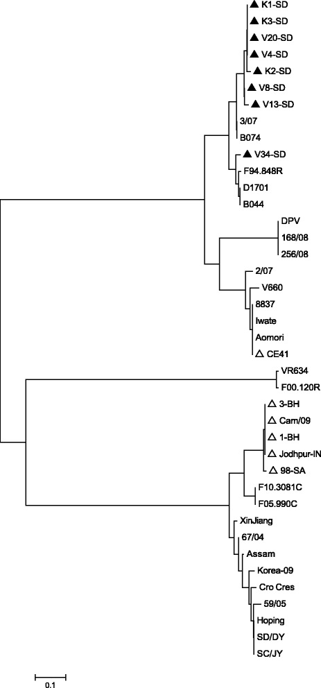 Fig. 2