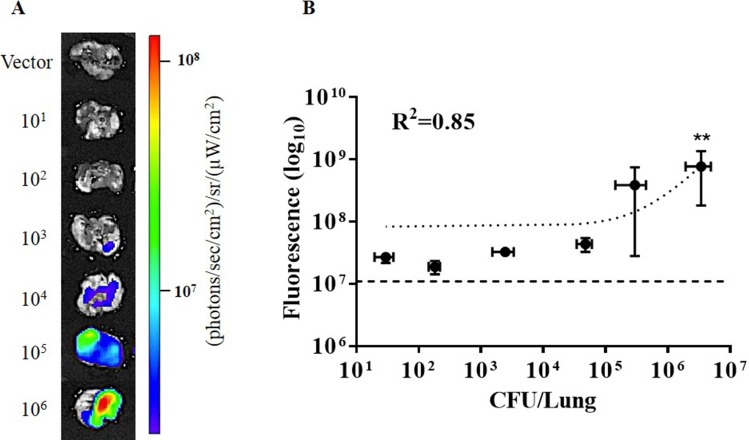 Fig 7