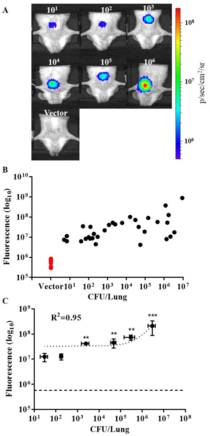 Fig 4