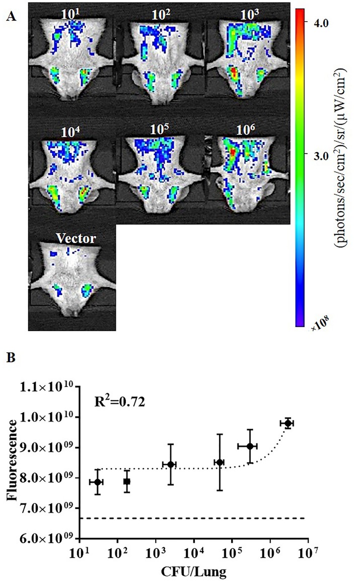 Fig 6