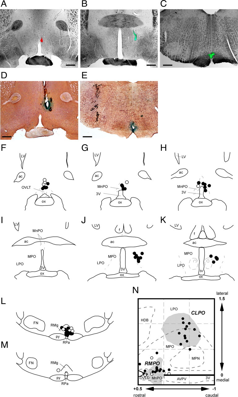 Figure 11.