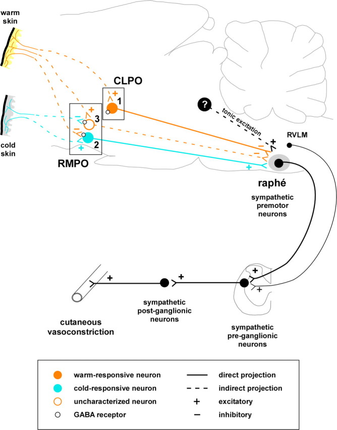 Figure 12.